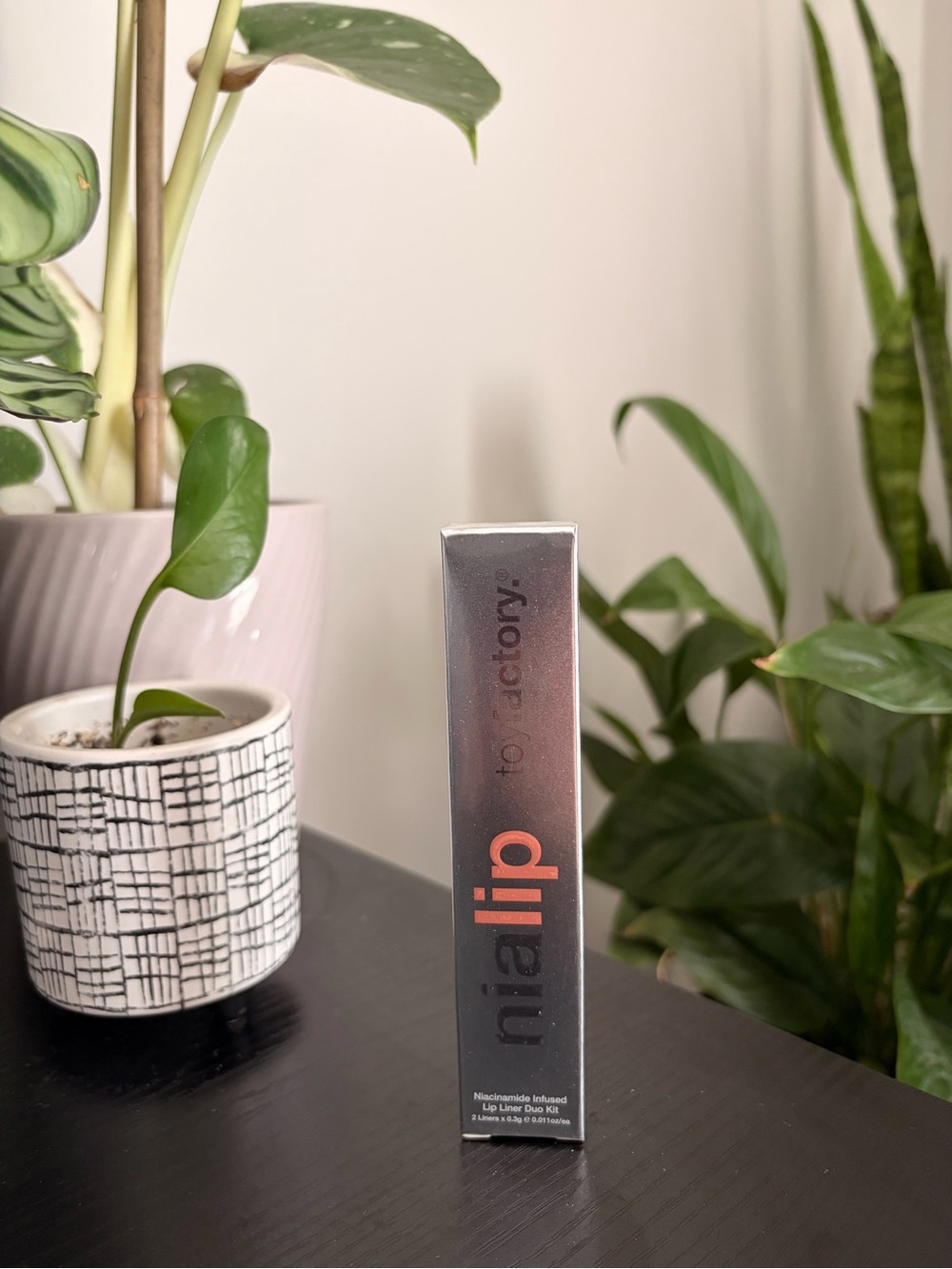 toy factory nia lip Hydrating Lip Kit